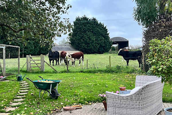 House sit in Moreton in Marsh, United Kingdom