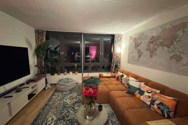 House sit in Amsterdam, Netherlands