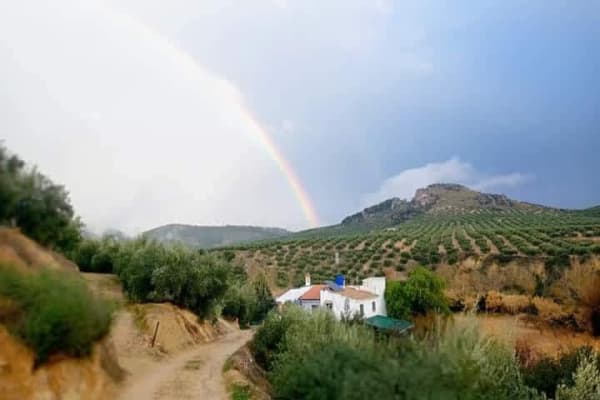 House sit in Alcaudete, Spain