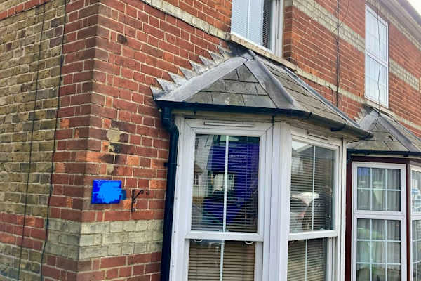 House sit in High Wycombe, United Kingdom