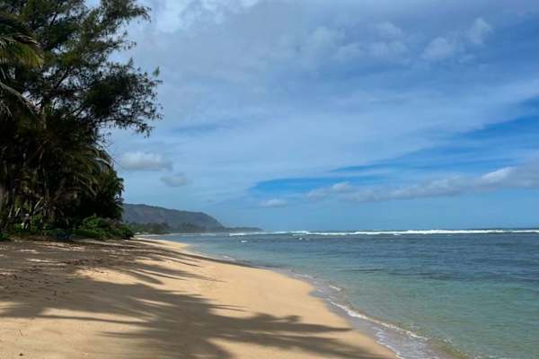 House sit in Waialua, HI, US