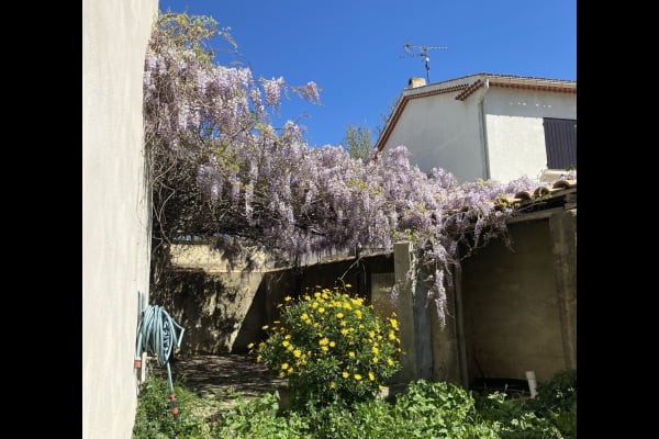 House sit in Arles, France