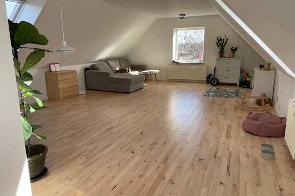 House sit in Ebeltoft, Denmark