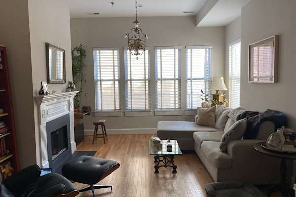 House sit in Washington, D.C., Washington, D.C., US