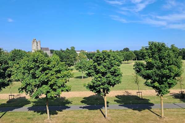 House sit in Lusk, Ireland