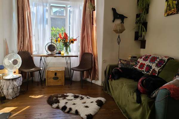 House sit in Bath, United Kingdom