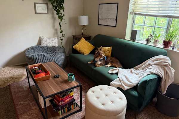 House sit in Flagstaff, AZ, US