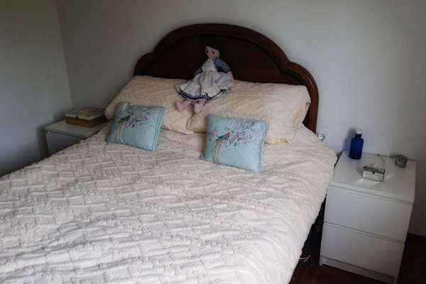 House sit in Aveiro, Portugal