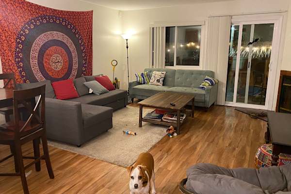House sit in San Diego, CA, US
