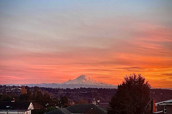 House sit in West Seattle, WA, US