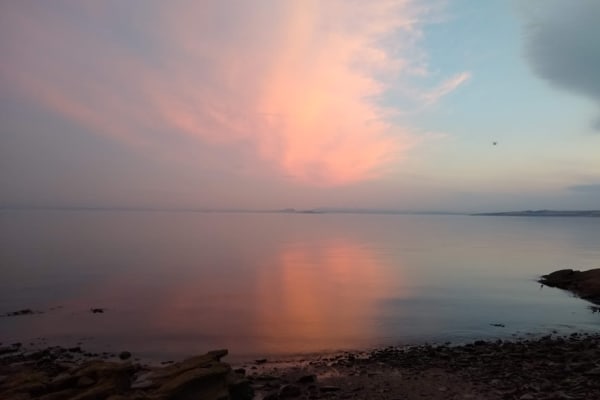 House sit in West Wemyss, United Kingdom