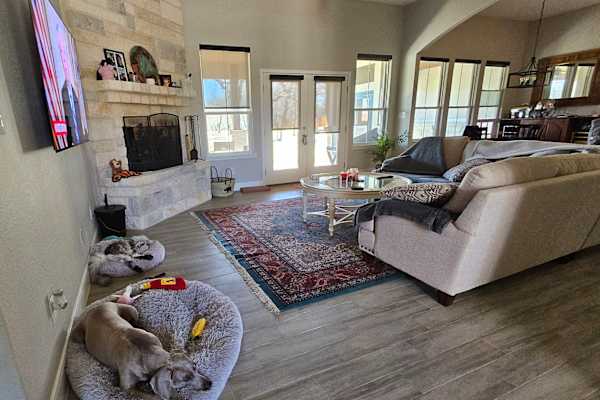 House sit in La Vernia, TX, US