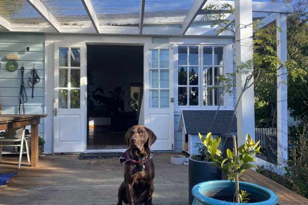 House sit in Port Chalmers, New Zealand
