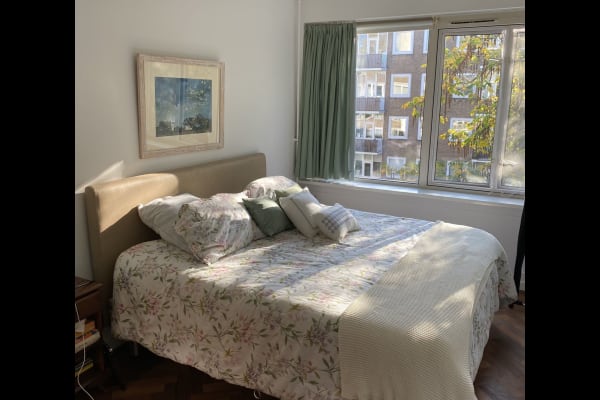 House sit in Amsterdam, Netherlands