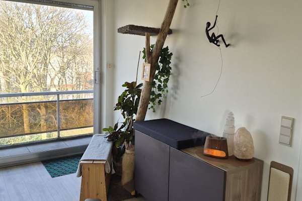 House sit in Antwerpen, Belgium