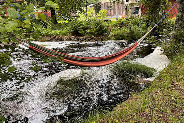 House sit in Örkelljunga, Sweden