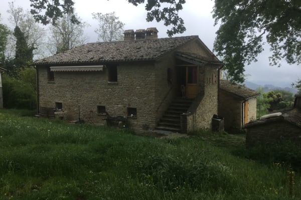 House sit in Serra San Quirico, Italy