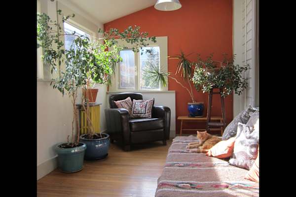 House sit in Nelson, BC, Canada