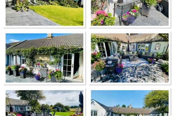 House sit in Crook of Devon, United Kingdom