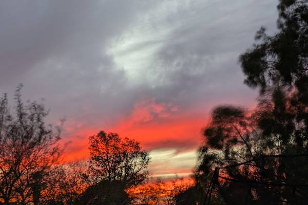 House sit in Tucson, AZ, US