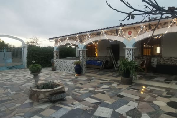 House sit in Valencia, Spain