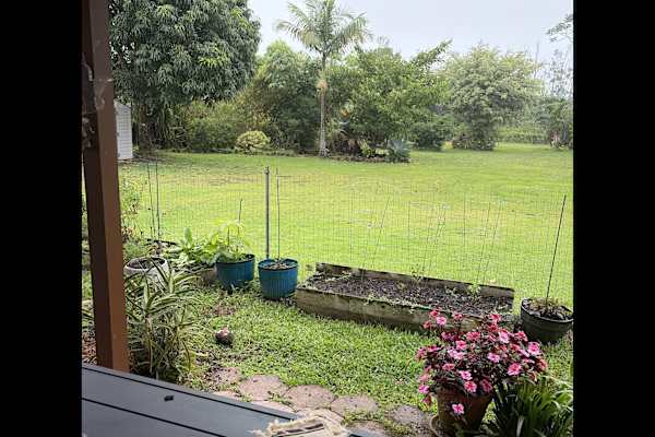 House sit in Kea‘au, HI, US