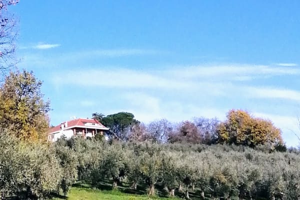 House sit in Tarano, Italy