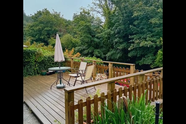 House sit in Totnes, United Kingdom