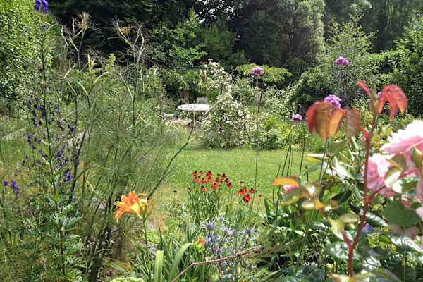 House sit in Saint Germans, United Kingdom