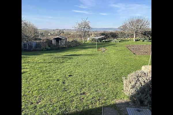 House sit in Taunton, United Kingdom