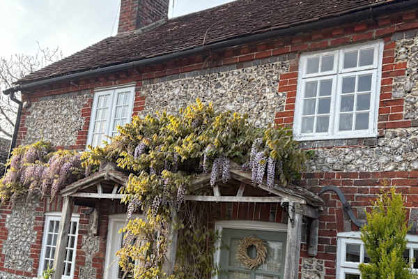 House sit in Rowlands Castle, United Kingdom