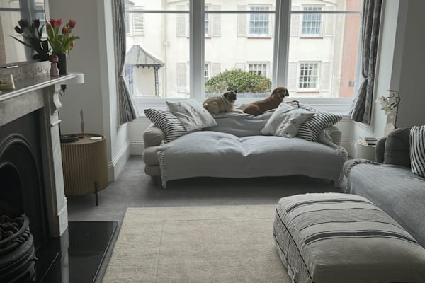 House sit in Sidmouth, United Kingdom