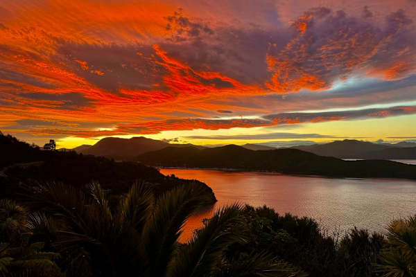 House sit in Picton, New Zealand