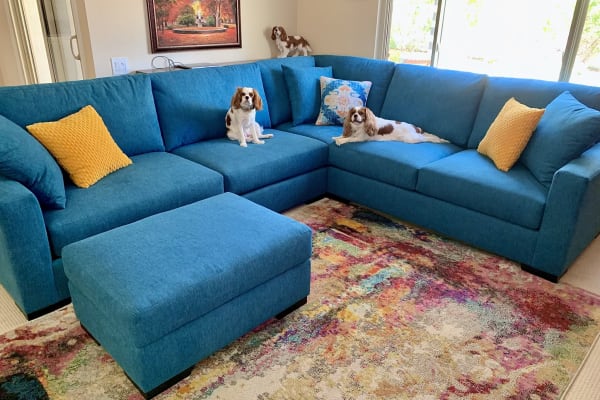 House sit in Tierrasanta, CA, US