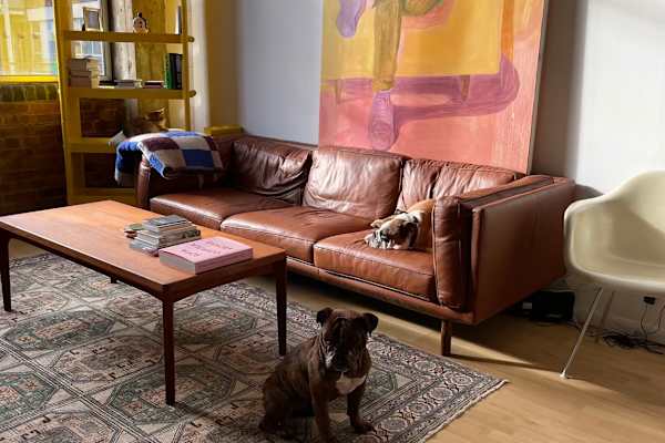 House sit in London, United Kingdom