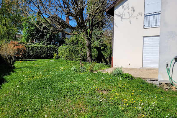 House sit in Yverdon-les-Bains, Switzerland
