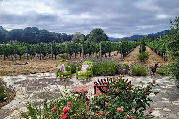 House sit in Boonville, CA, US