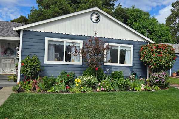 House sit in Napa, CA, US