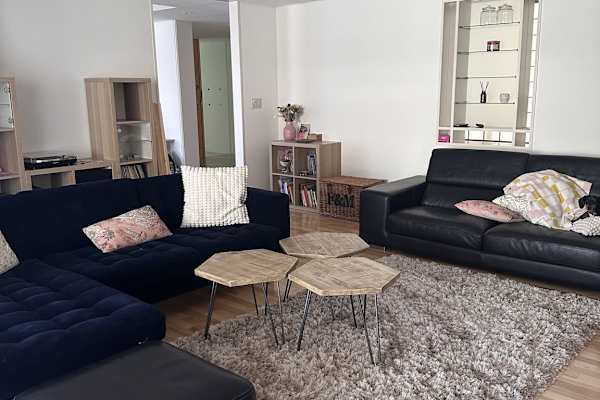 House sit in Tokyo, Japan