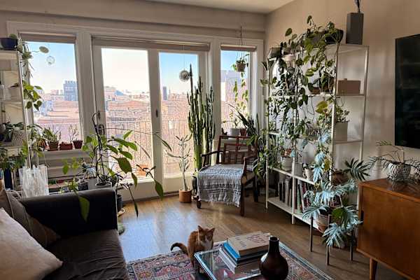House sit in Brooklyn, NY, US
