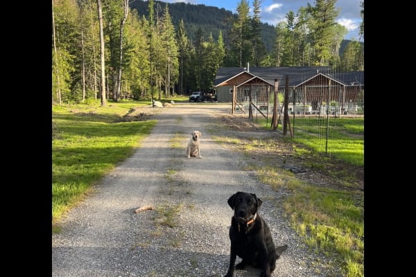 House sit in Sagle, ID, US