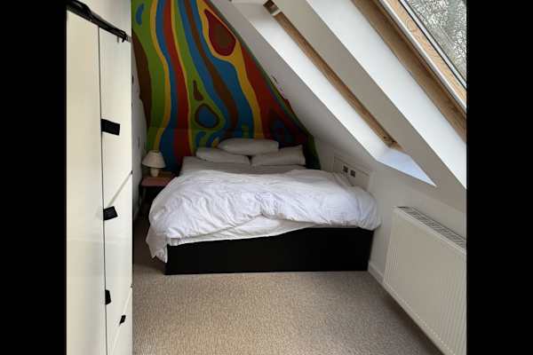 House sit in Winchester, United Kingdom