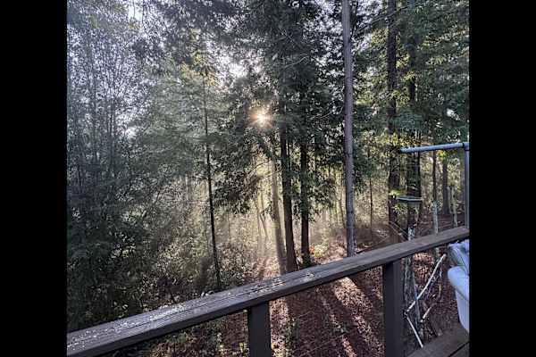 House sit in Santa Cruz, CA, US