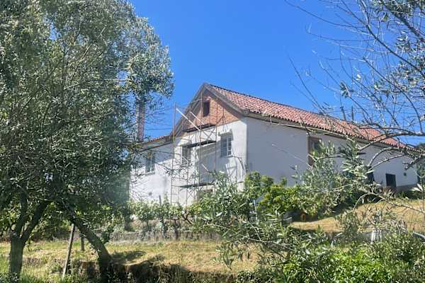 House sit in Venda da Esperança, Portugal