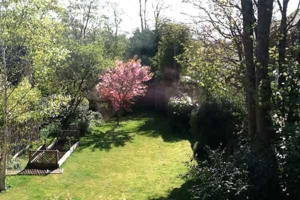 House sit in Amersham, United Kingdom