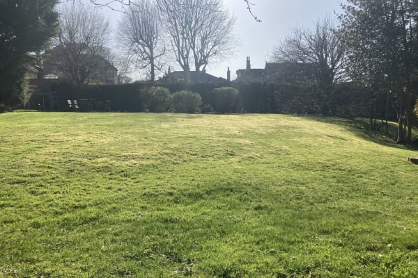 House sit in Bristol, United Kingdom