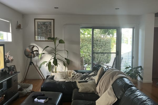 House sit in Brisbane, QLD, Australia