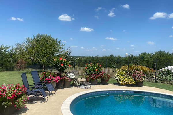 House sit in McKinney, TX, US