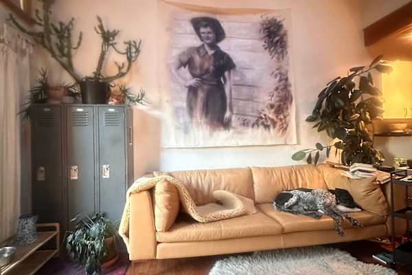House sit in Santa Fe, NM, US
