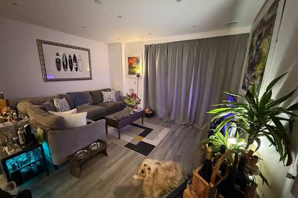 House sit in Acton, United Kingdom